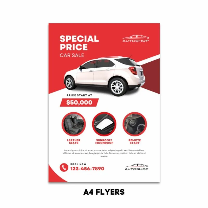 Custom Flyer