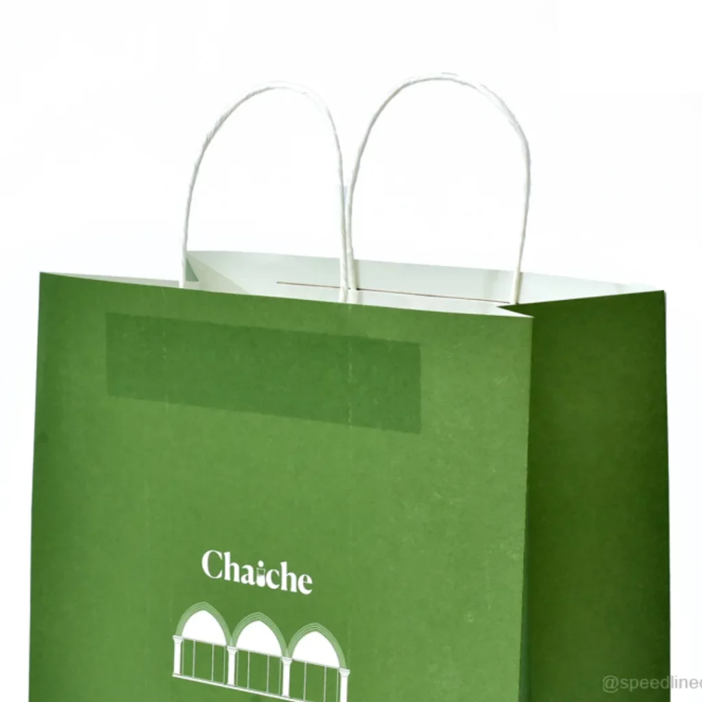 Twisted Handle Paper Bags in Doha Qatar